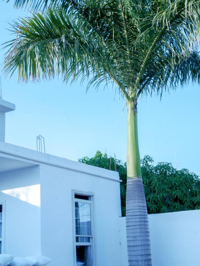 Hotel La Huerta Río Verde Eksteriør bilde